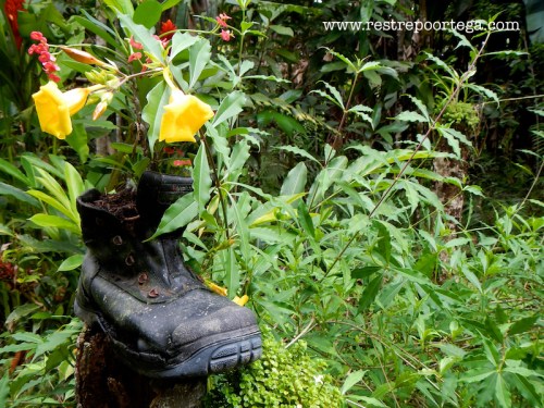 Leticia - Omshanty 2