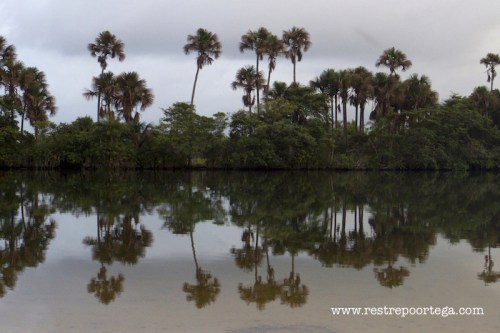 lencois maranhenses 15
