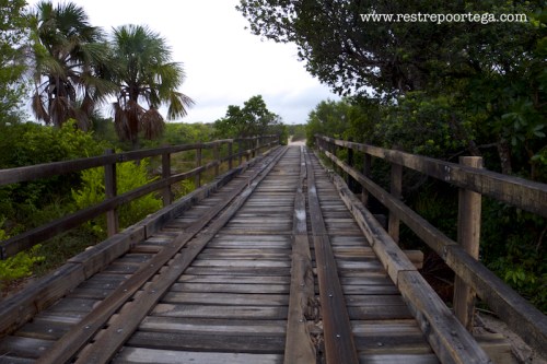 lencois maranhenses 23