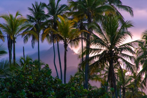 Fall in Love with Earth on Her Special&nbsp;Day